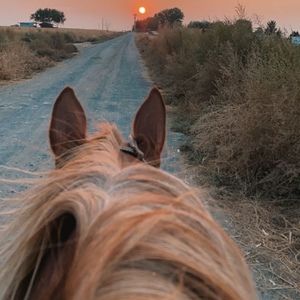 Meet your Posher, Jayden